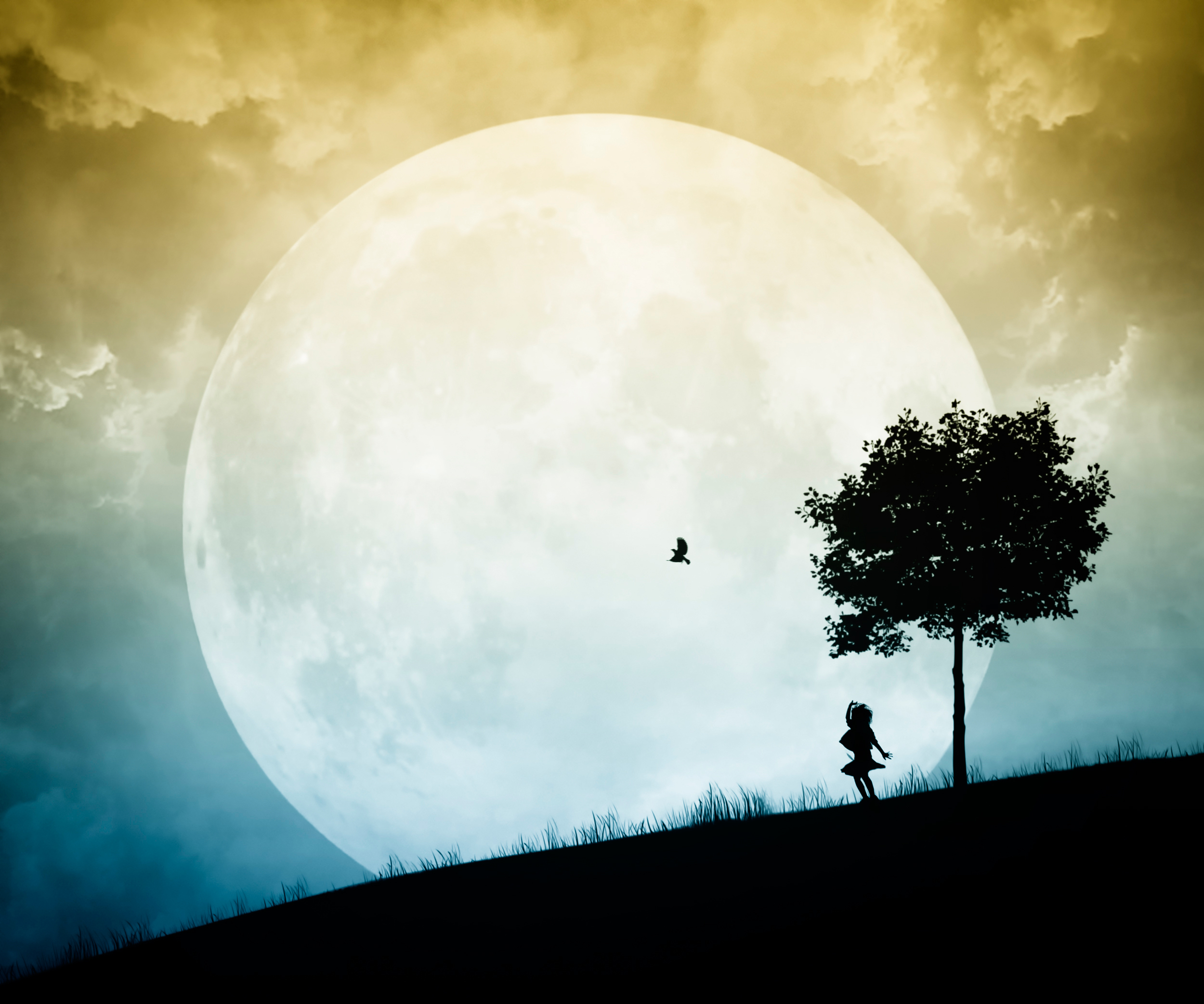 Тайна полной луны. Луна. Дерево на фоне Луны. Полная Луна. Силуэт на фоне Луны.