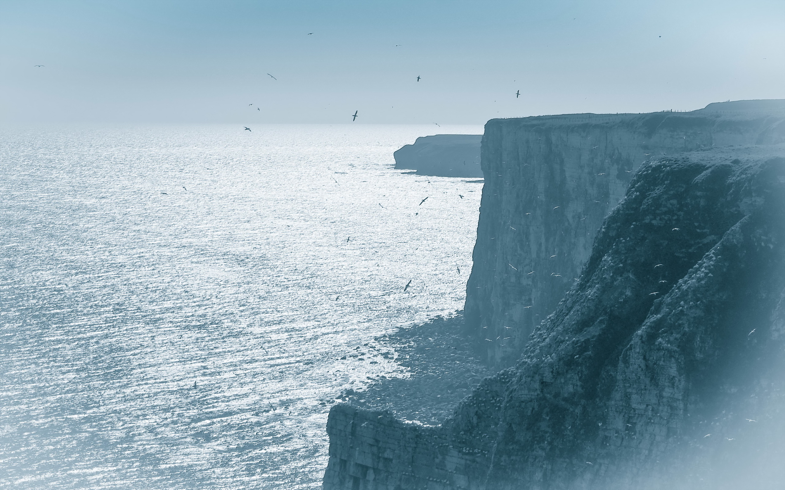 море пейзаж берег туман