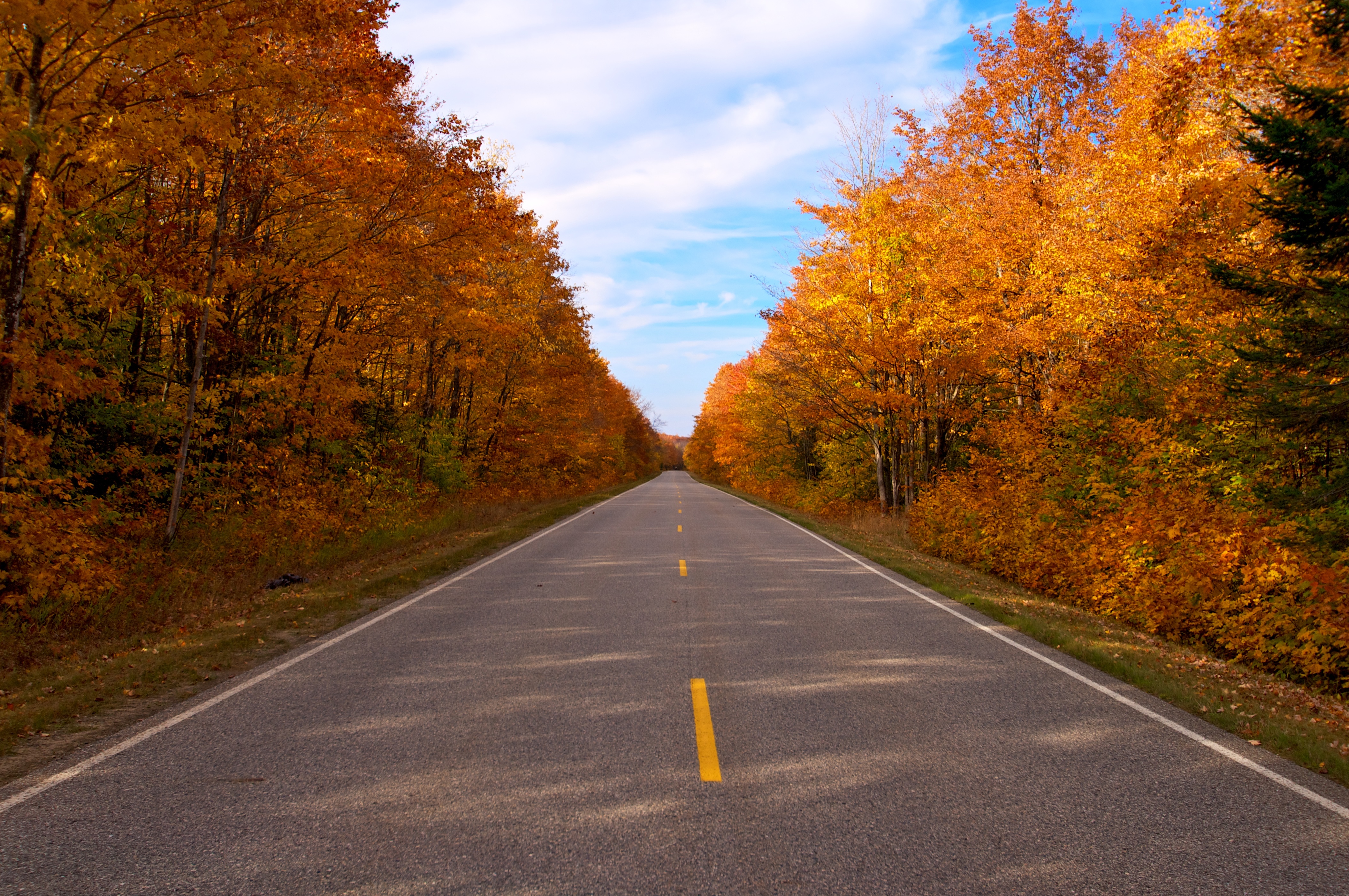 Осенняя дорога домой. Дорога в осень. Осенняя трасса. Трасса осенью. Прямая дорога.