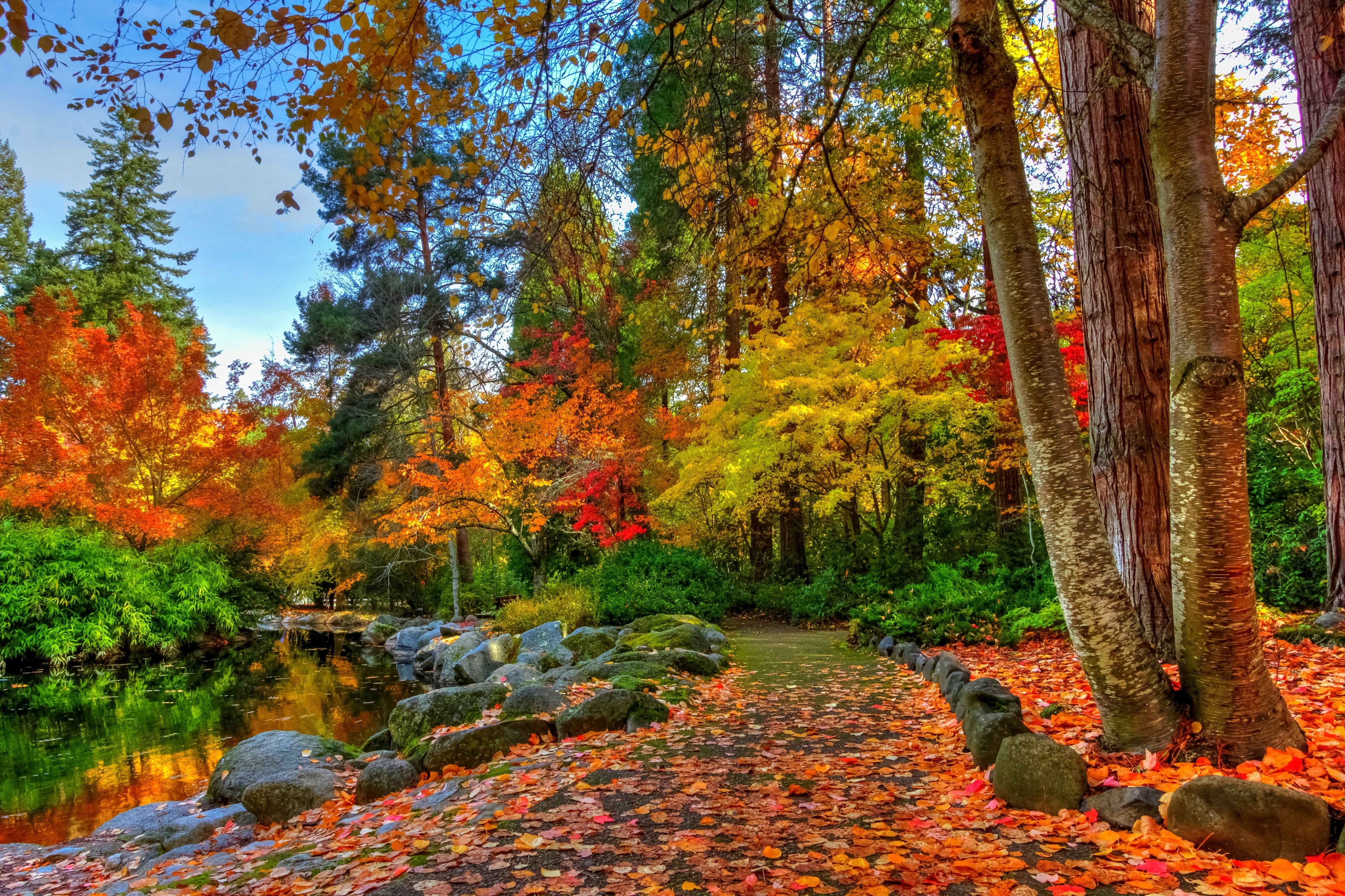 Осень картинки. Осенний лес. Природа осень. Осень в лесу. Красивая осень.