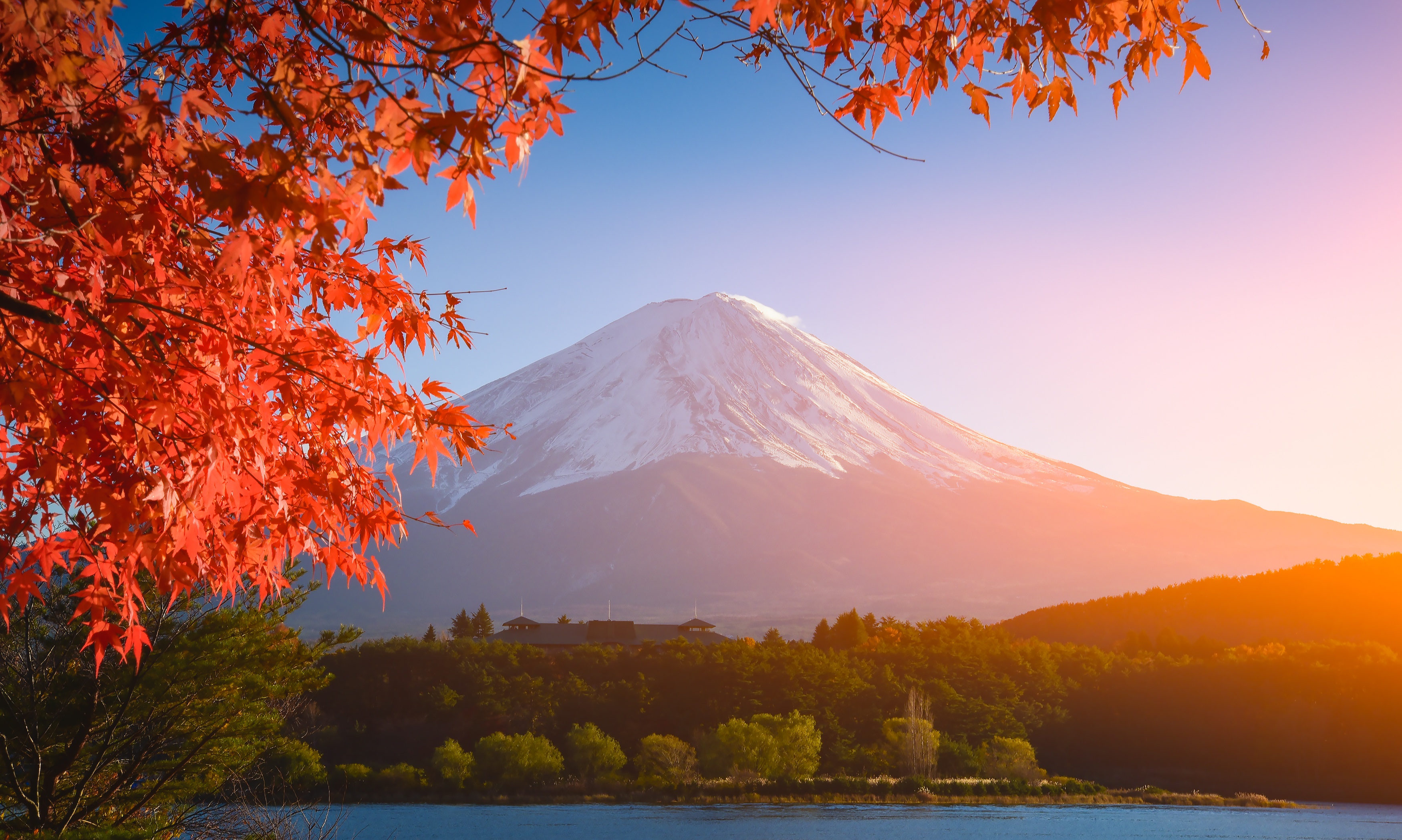 осень гора Фуджи клен осенние