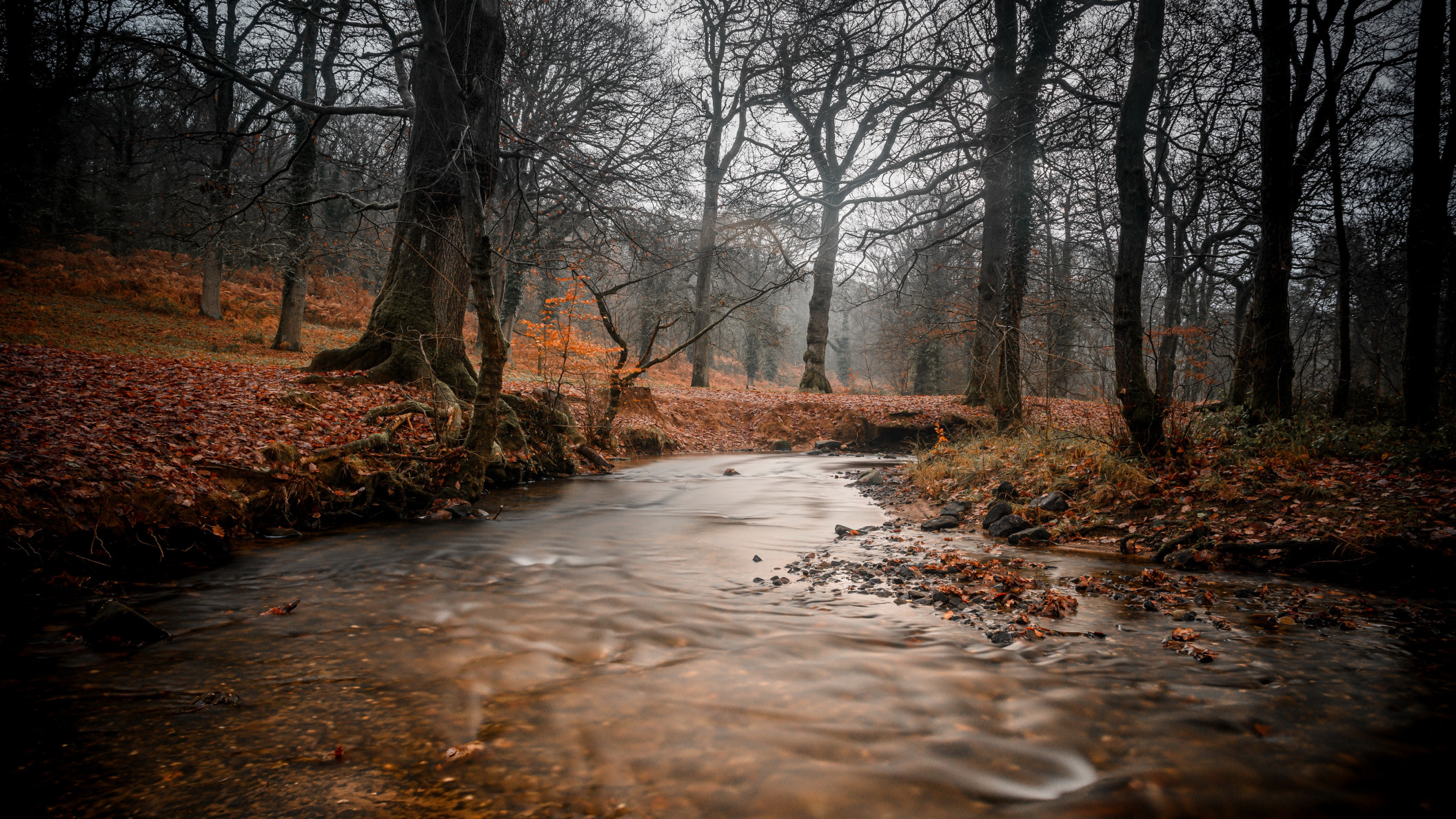 река ручей лес осень
