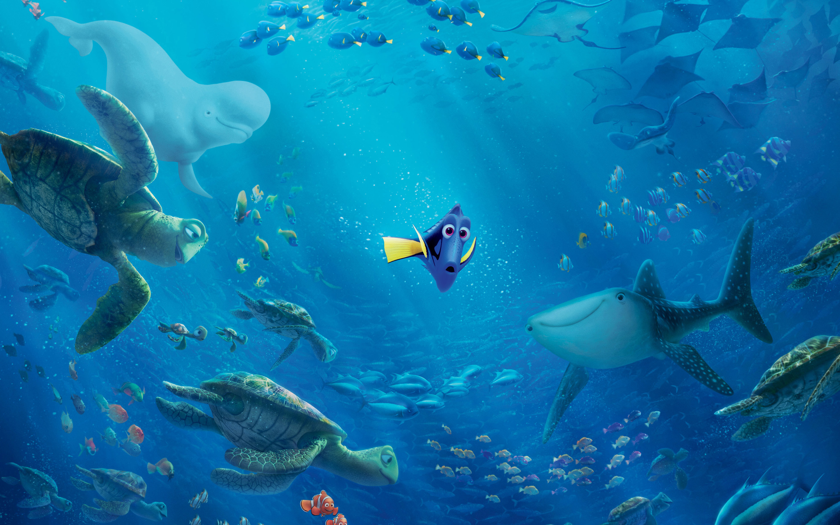 dory finding