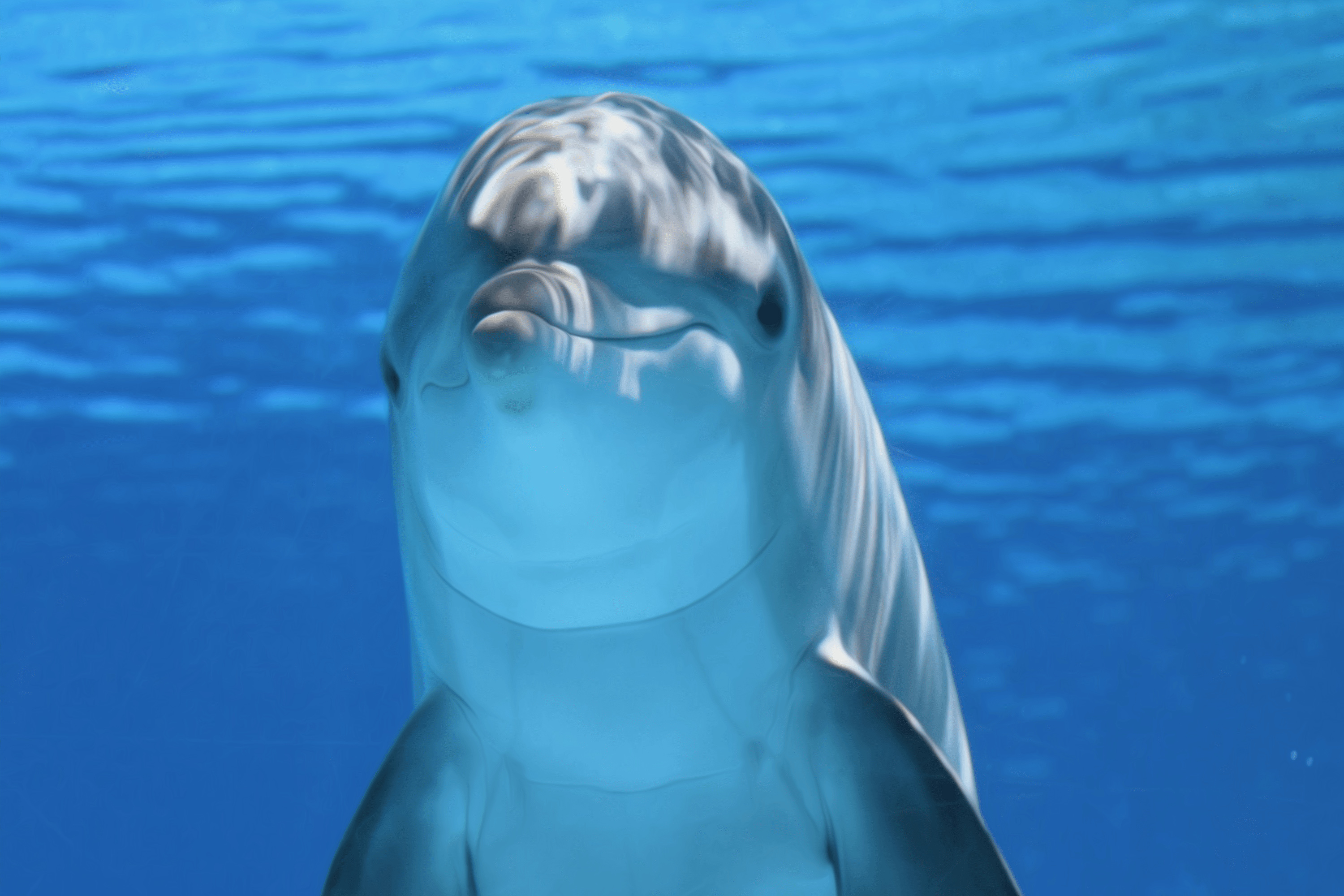 Дельфин подводный мир