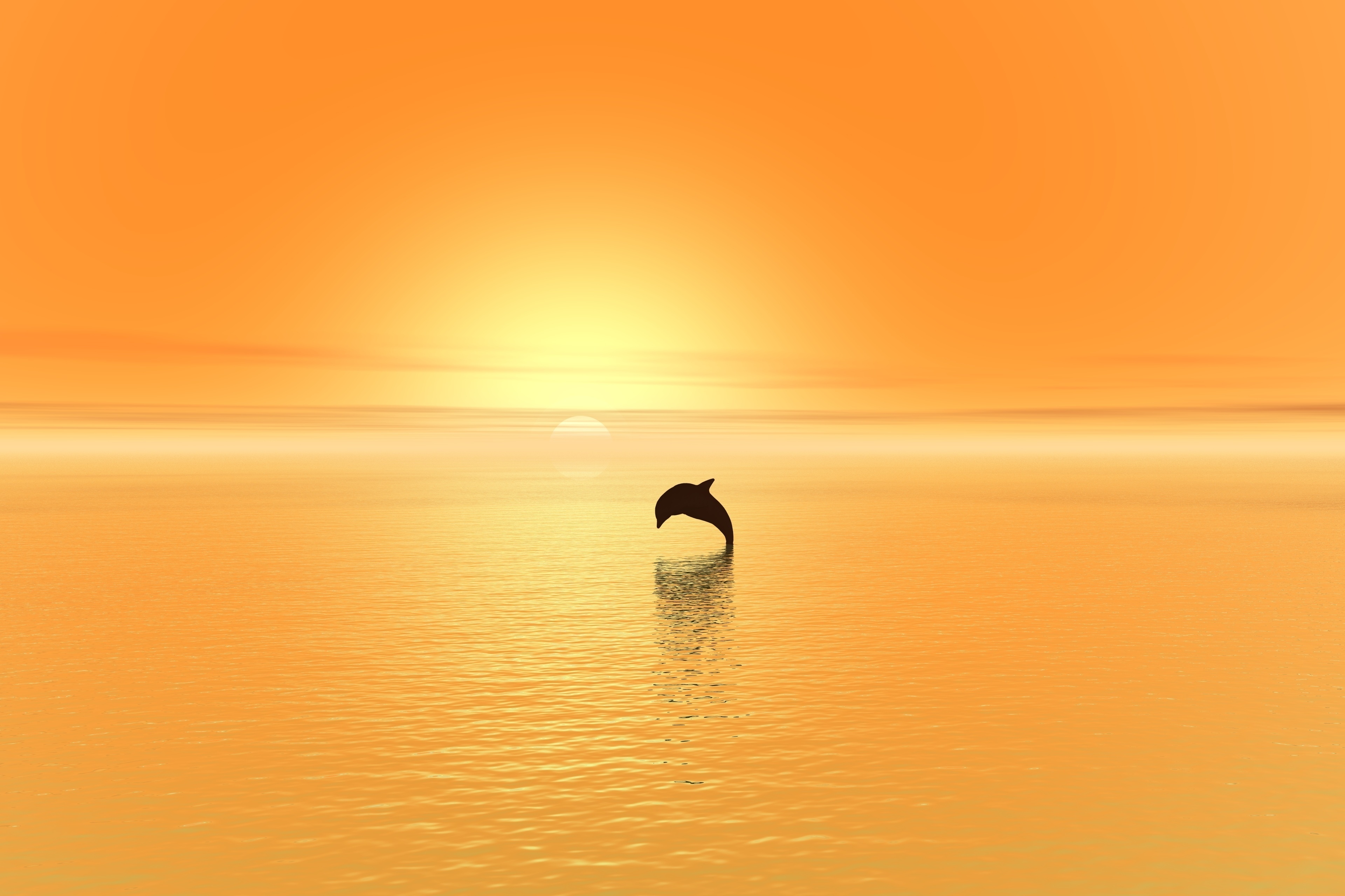 закат дельфин море