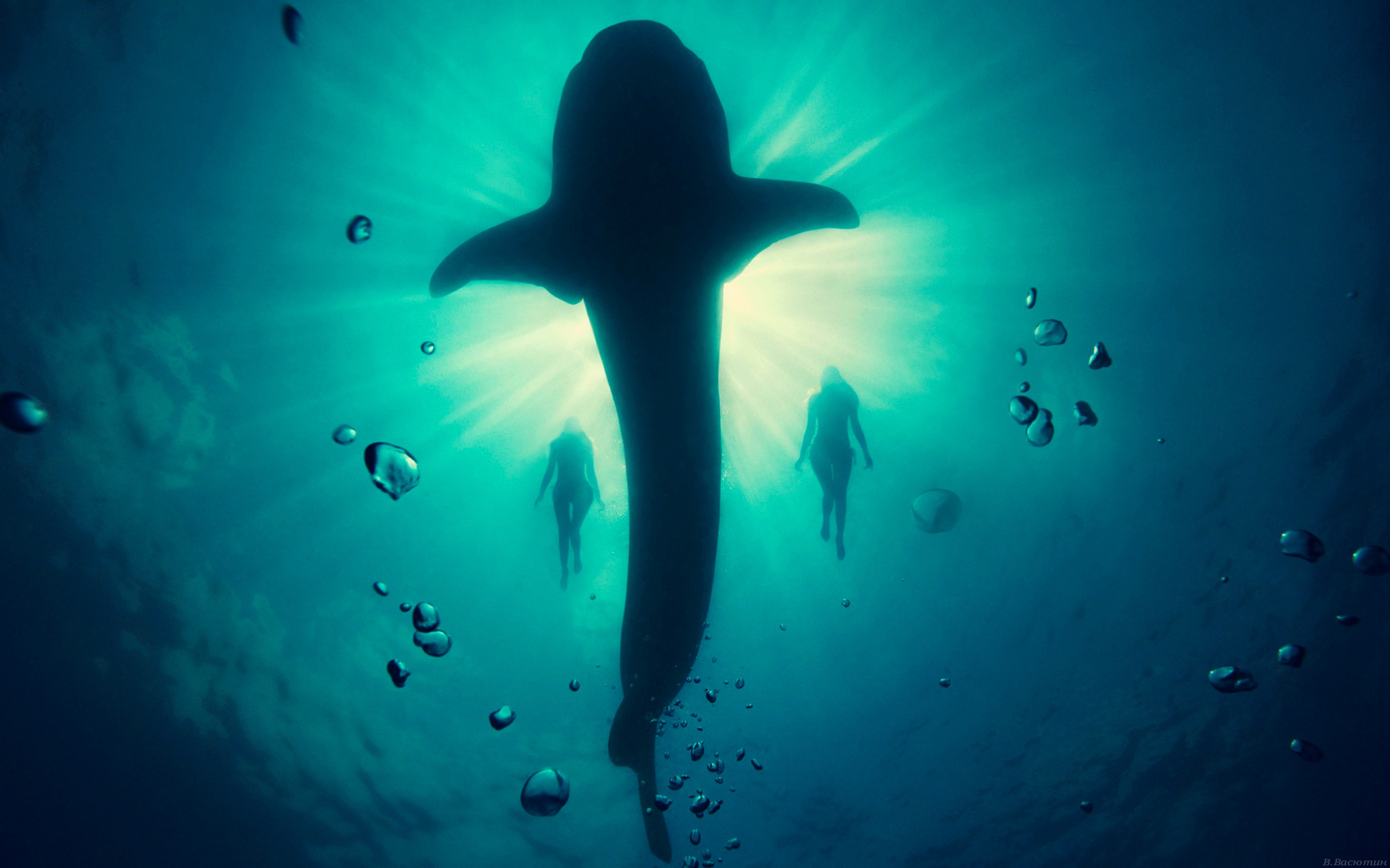 кит девушки глубина