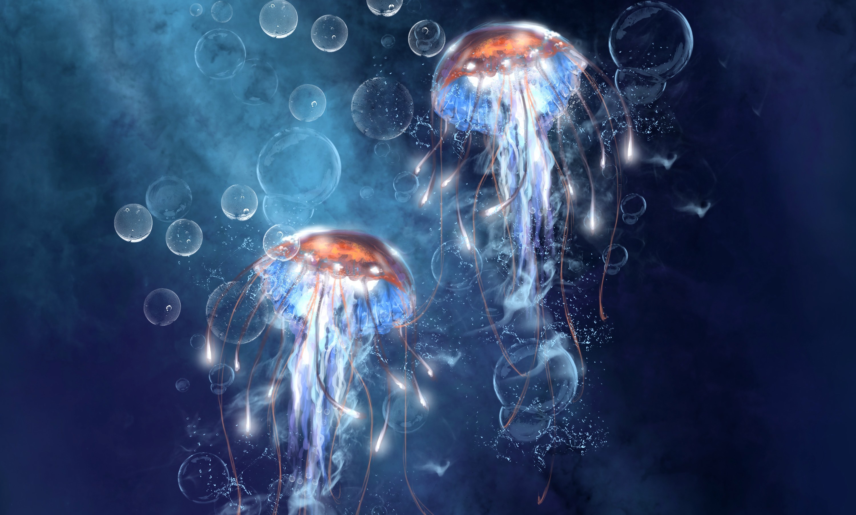 море медузы под водой