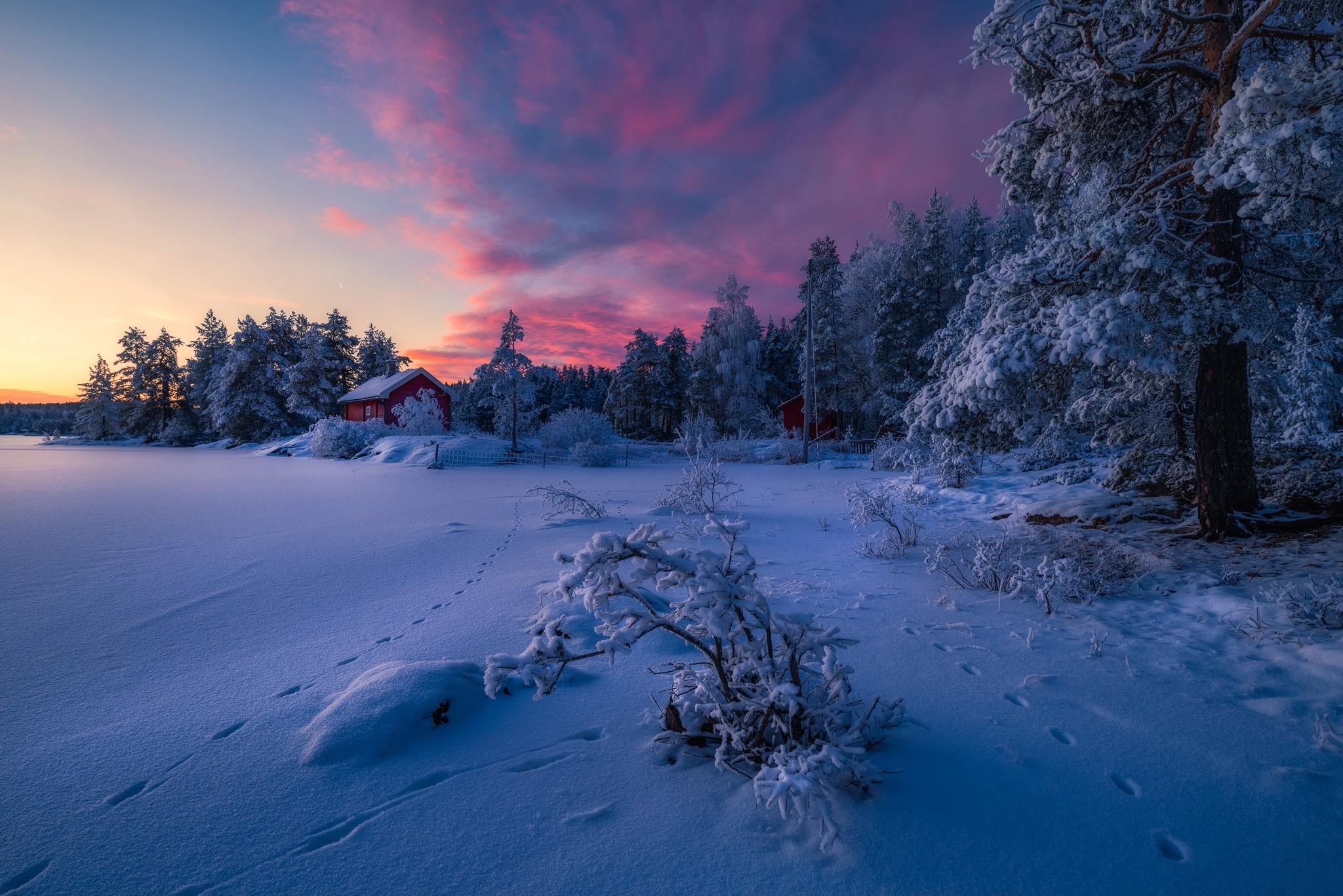  природа лес снег домик