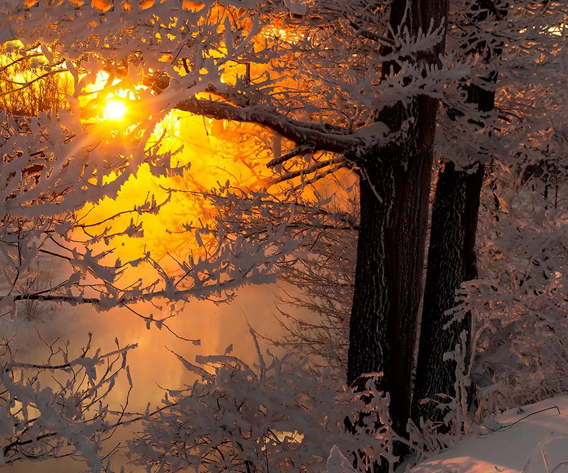 луч красота