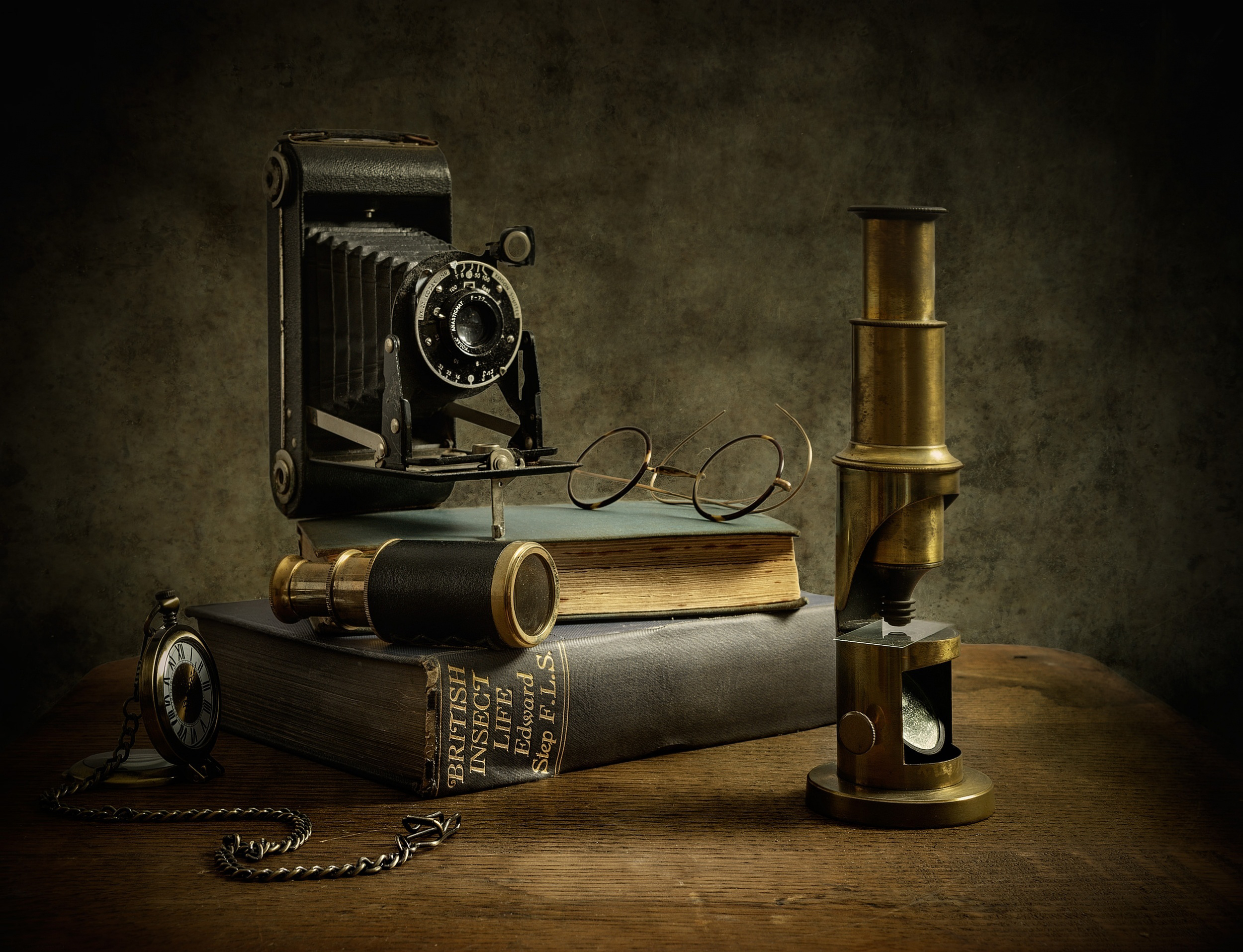 The Entomologist очки