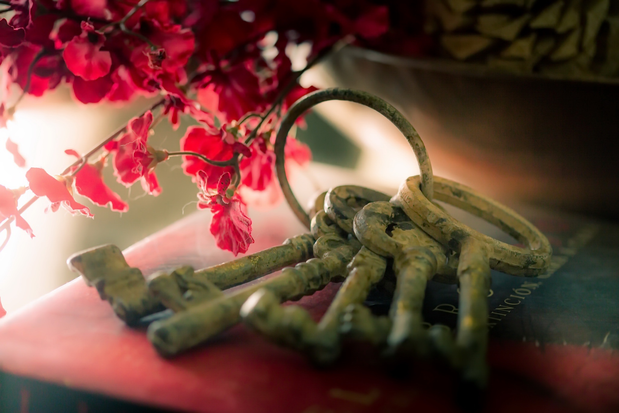 цветы ключи ключ