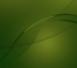 Stock Sony Xperia Green Experience